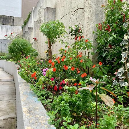 505 - Apartamento Lindo, Amplo E Decorado, Mobiliario Moderno, Cozinha Completa Com Utensilios , Excelente Vista Da Cidade E Localizacao Privelegiada No Bairro Bigorrilho Proximo De Shopping E Parques Curitiba Eksteriør bilde